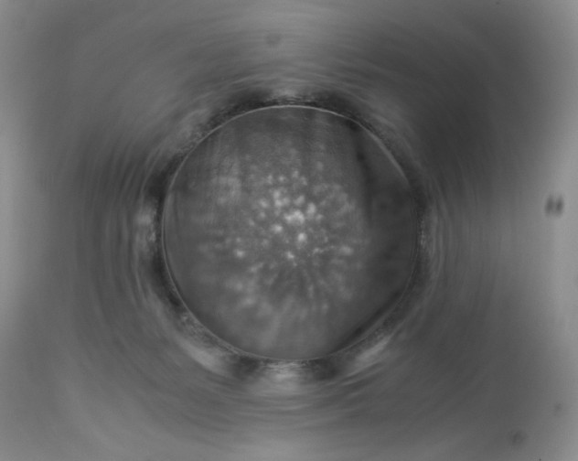 X0000113590127200910021726