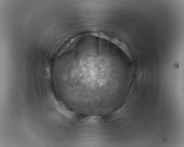 X0000113590128200910021726