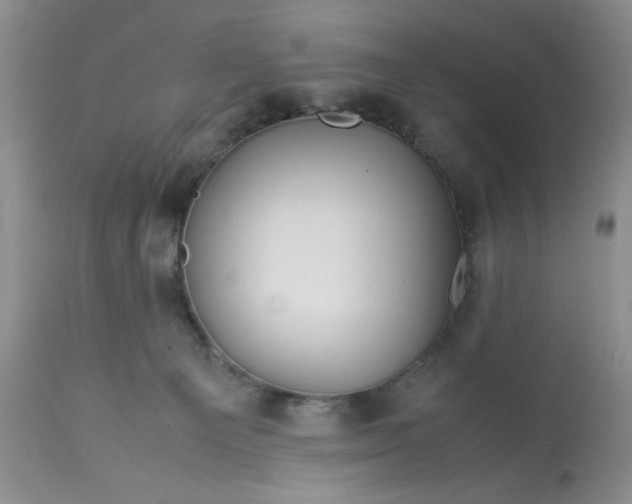 X0000113590129200910021726