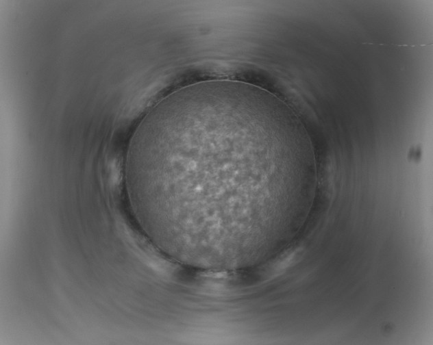 X0000113590131200910021726