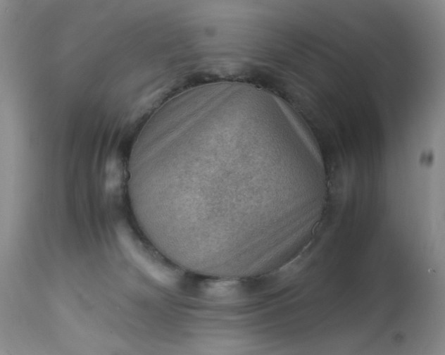 X0000113590132200910021726