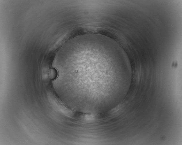 X0000113590134200910021726