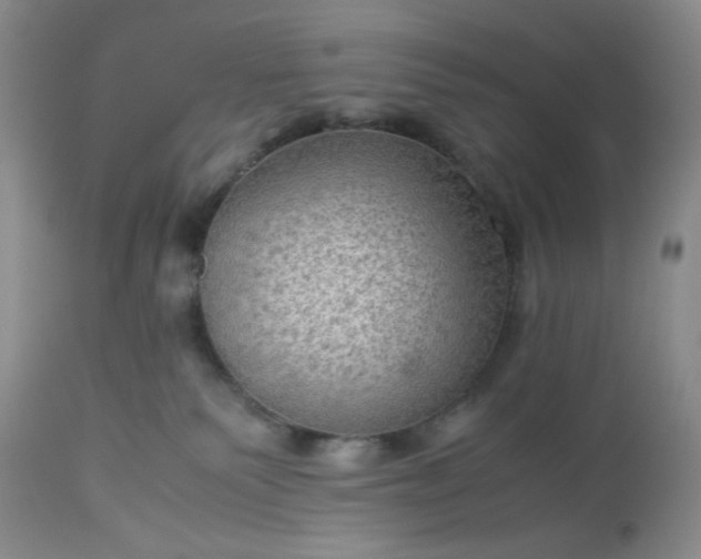 X0000113590135200910021726