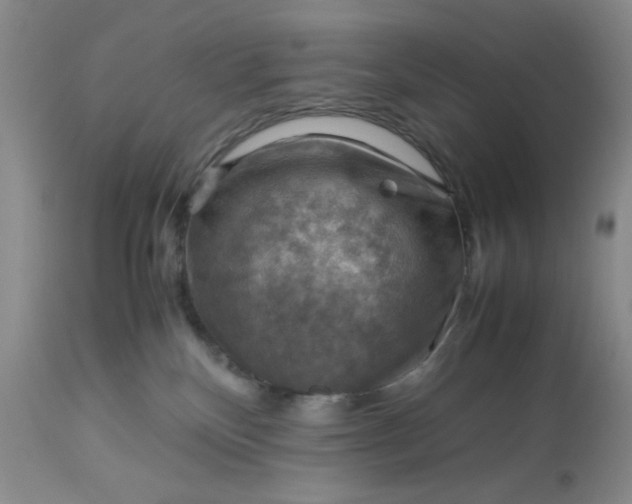 X0000113590136200910021726