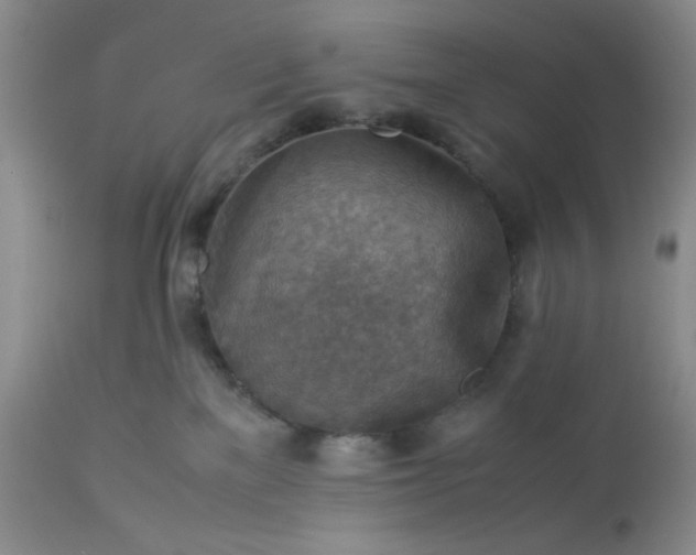 X0000113590137200910021726