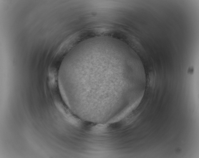 X0000113590138200910021726