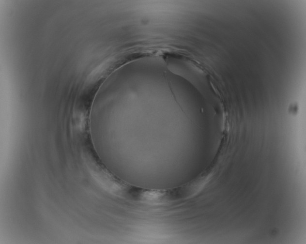 X0000113590139200910021726