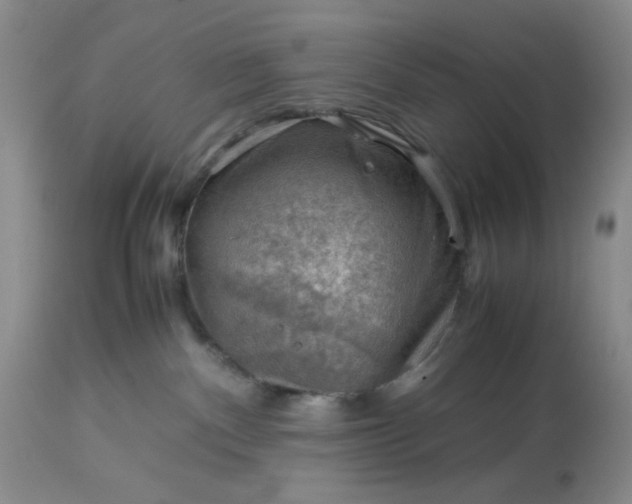 X0000113590140200910021726