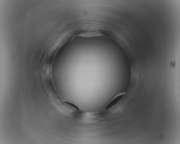 X0000113590141200910021726