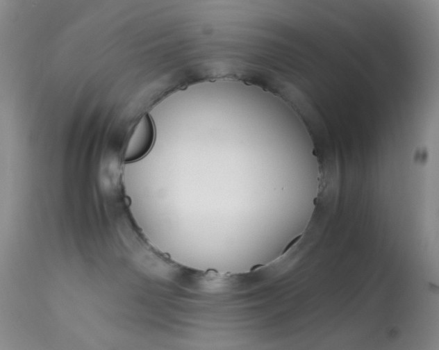 X0000113590142200910021726