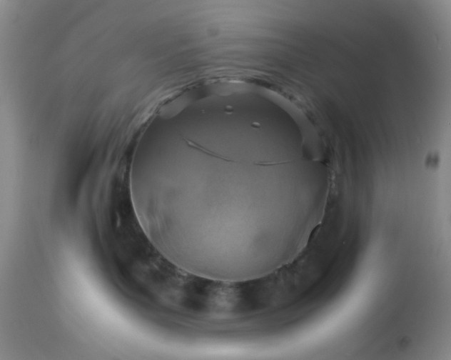 X0000113590143200910021726