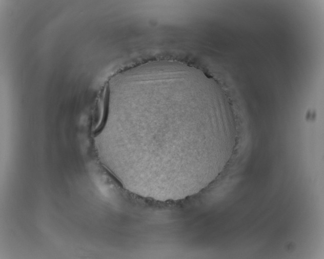 X0000113590144200910021726