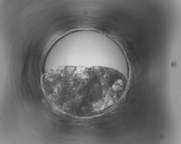 X0000113590145200910021725