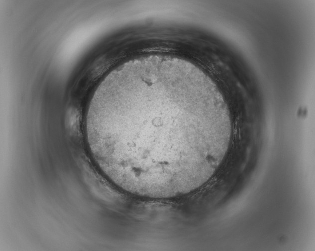 X0000113590146200910021725