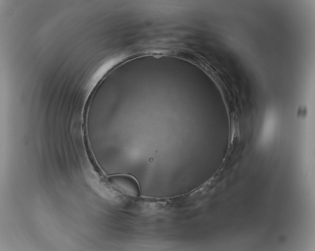 X0000113590147200910021725