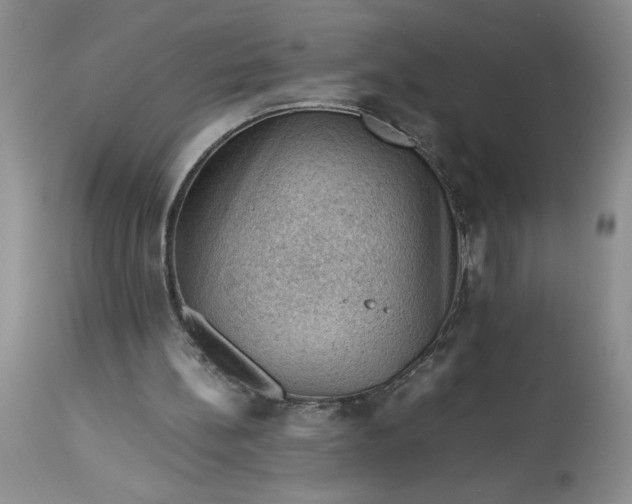 X0000113590148200910021725