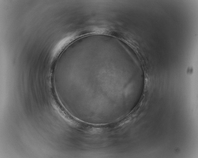 X0000113590149200910021725