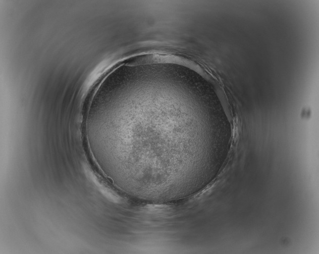 X0000113590150200910021725