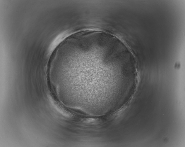 X0000113590151200910021725