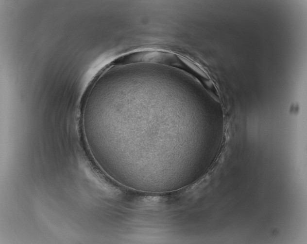 X0000113590152200910021725