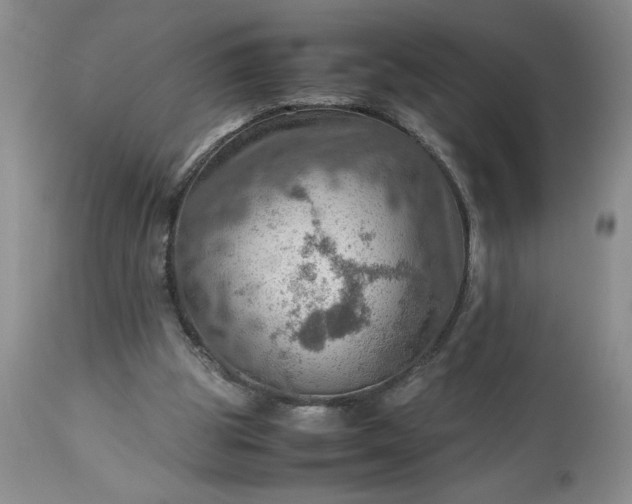 X0000113590153200910021725