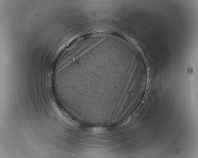 X0000113590154200910021725