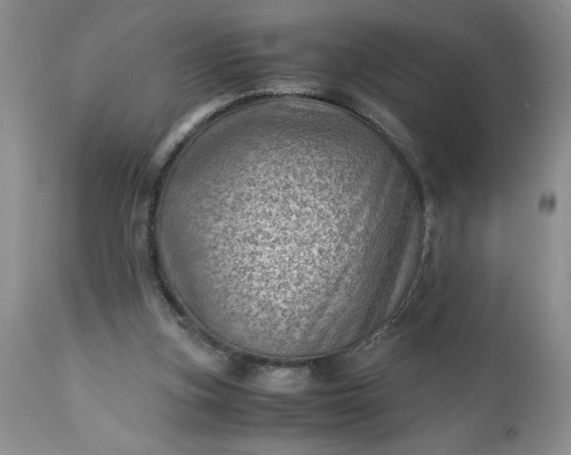 X0000113590155200910021725