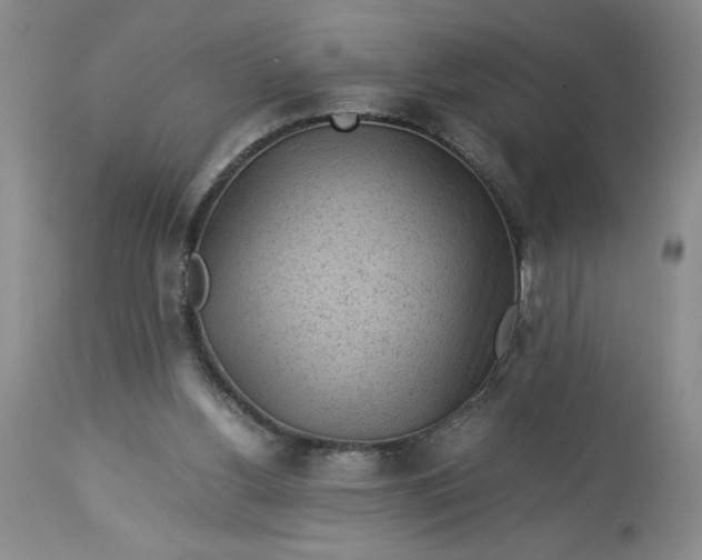 X0000113590156200910021725