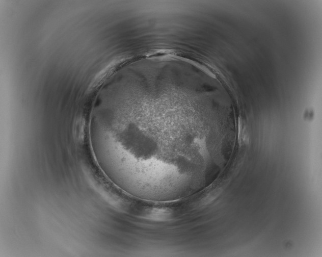 X0000113590157200910021725