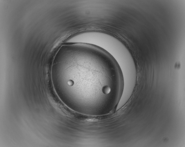 X0000113590158200910021725