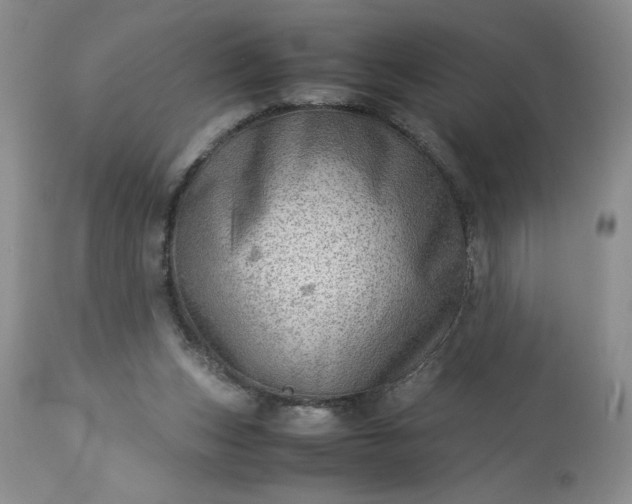 X0000113590159200910021725