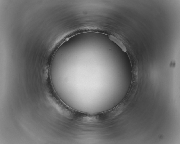 X0000113590160200910021725