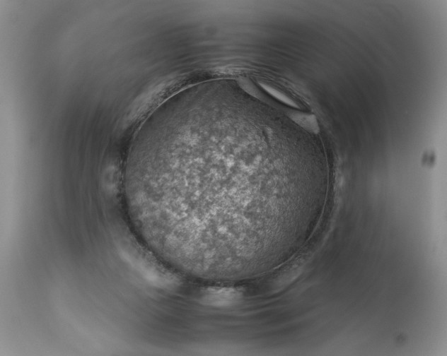 X0000113590161200910021725