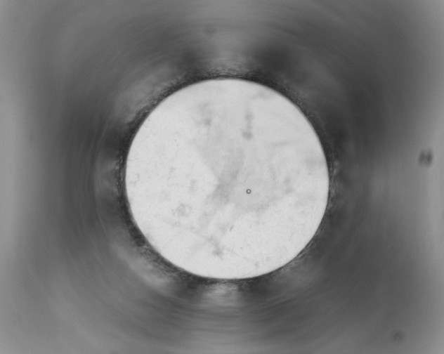 X0000113590162200910021725