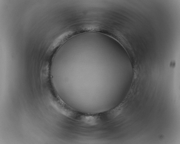 X0000113590163200910021725