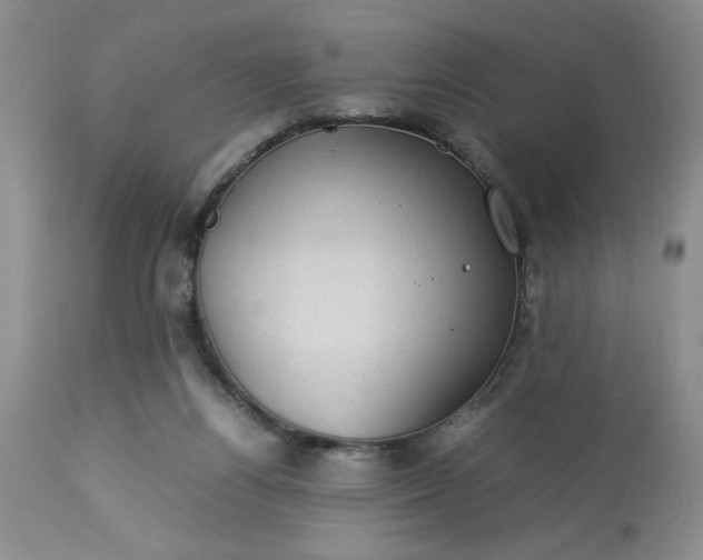 X0000113590164200910021725