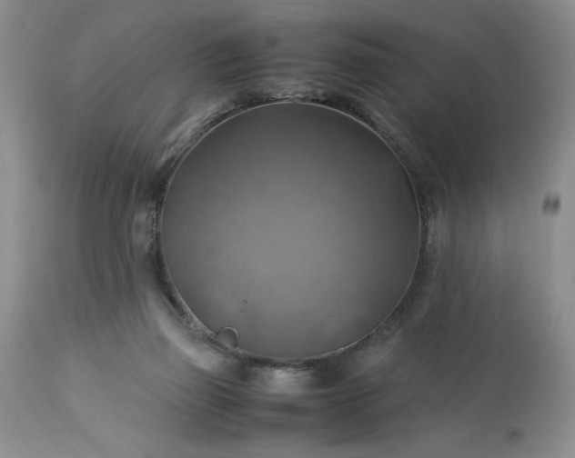 X0000113590165200910021725