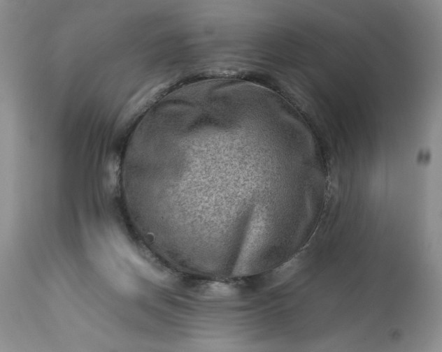 X0000113590166200910021725