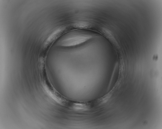 X0000113590167200910021726