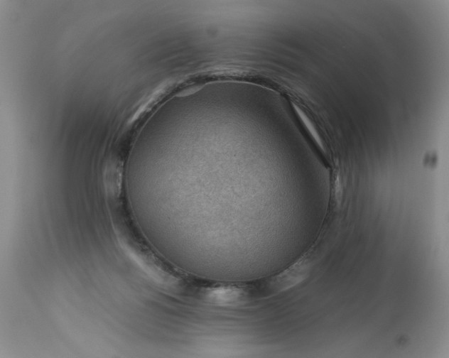 X0000113590168200910021726