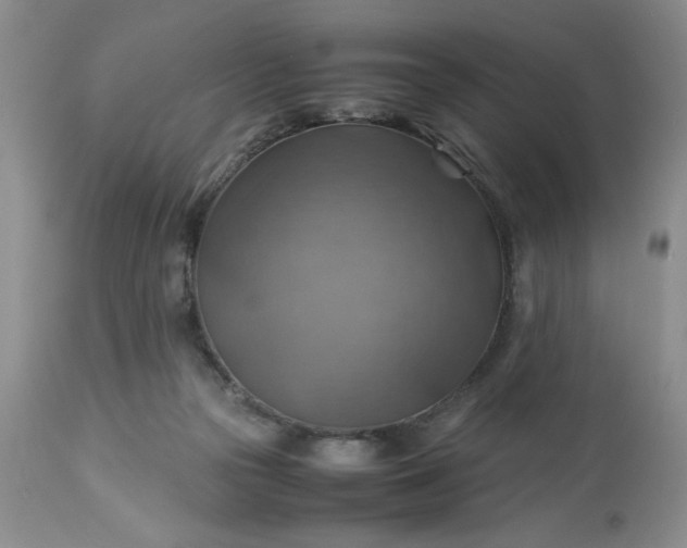 X0000113590169200910021726