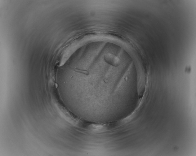 X0000113590170200910021726