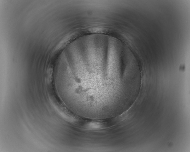 X0000113590171200910021726