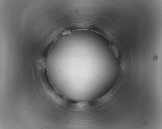 X0000113590172200910021726