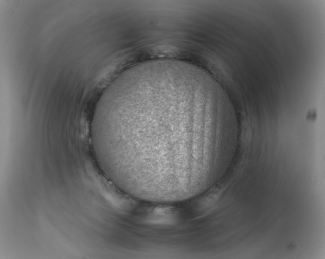 X0000113590173200910021726