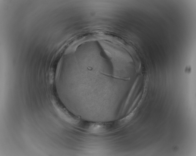 X0000113590174200910021726