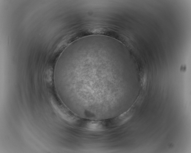 X0000113590175200910021726