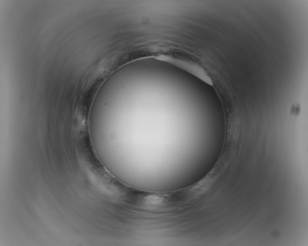 X0000113590176200910021726