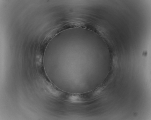 X0000113590177200910021726