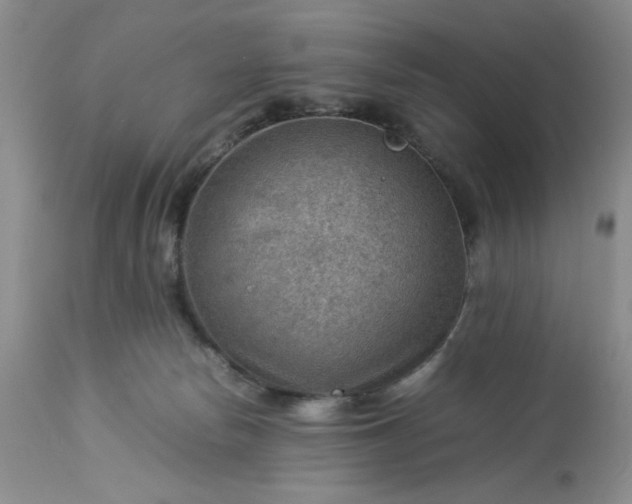 X0000113590178200910021726